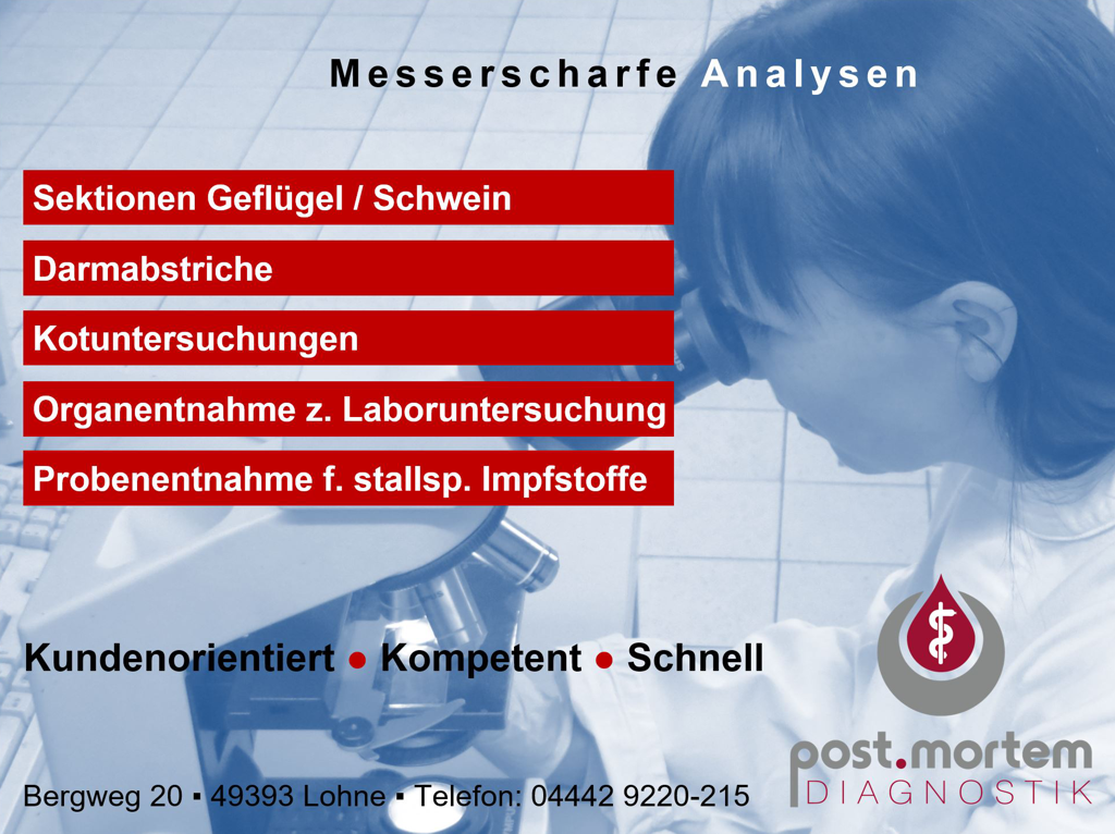 post.mortem